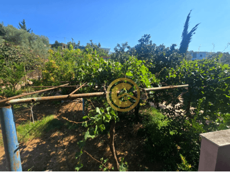 Vilë me qira në një zonë të qetë, me pamje 360° nga Korfuzi dhe Liqeni i Butrintit, rreth 800 metra nga plazhi. 2