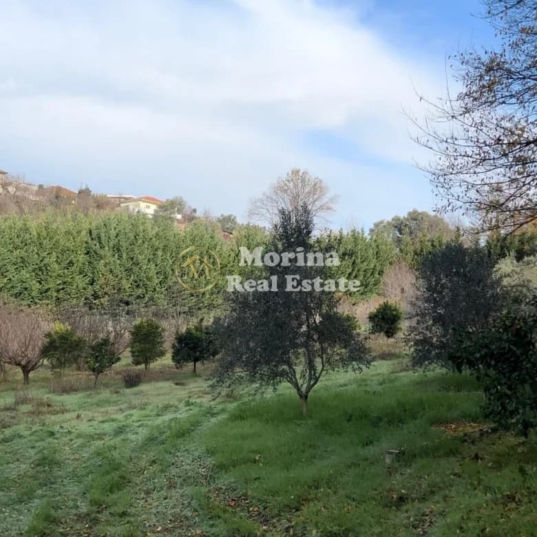 Shitje | Tokë / Truall | Kashar | 260000 € 2