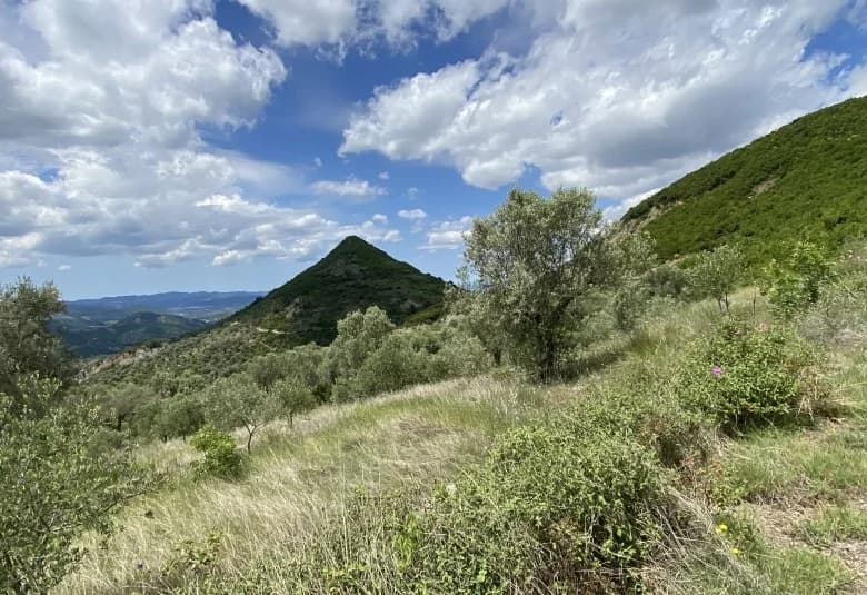 Shitje | Tokë / Truall | Petrelë | 300000 €