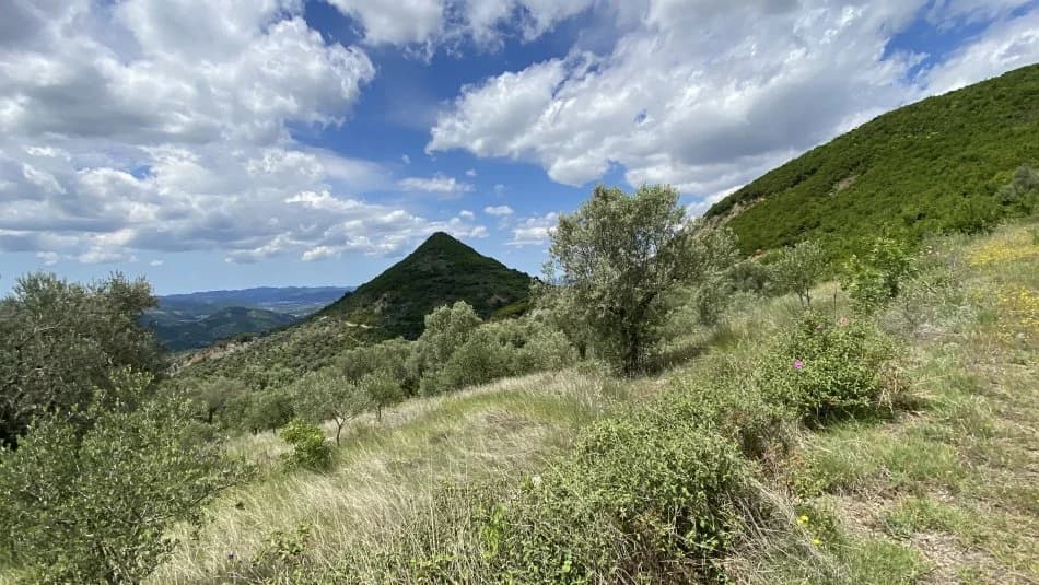 Shitje | Tokë / Truall | Petrelë | 300000 €