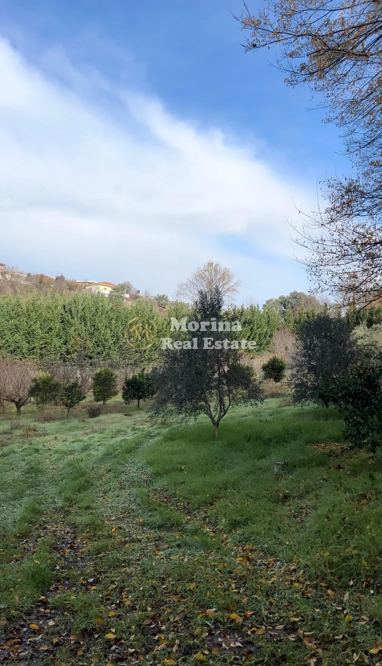 Shitje | Tokë / Truall | Kashar | 260000 €