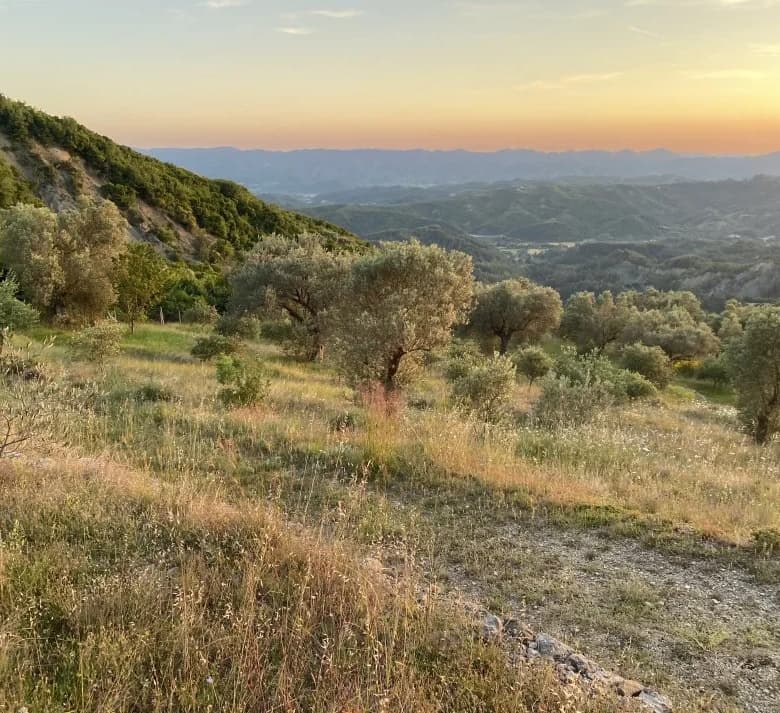 Shitje | Tokë / Truall | Petrelë | 300000 €