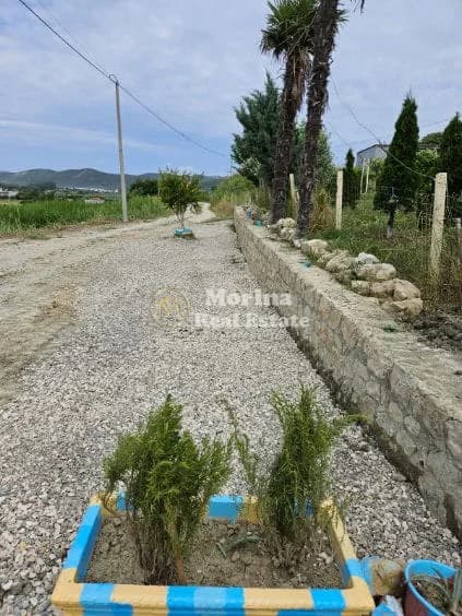 Shitje | Tokë / Truall | Lalëz | 65000 € 4