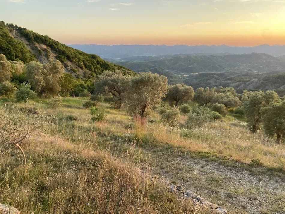 Shitje | Tokë / Truall | Petrelë | 300000 €