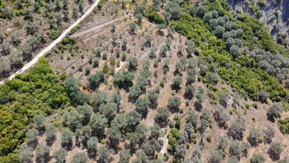 Shitje | Tokë / Truall | Petrelë | 300000 €
