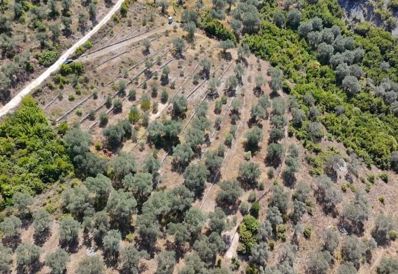 Shitje | Tokë / Truall | Petrelë | 300000 €