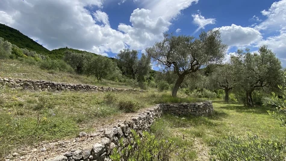 Shitje | Tokë / Truall | Petrelë | 300000 €