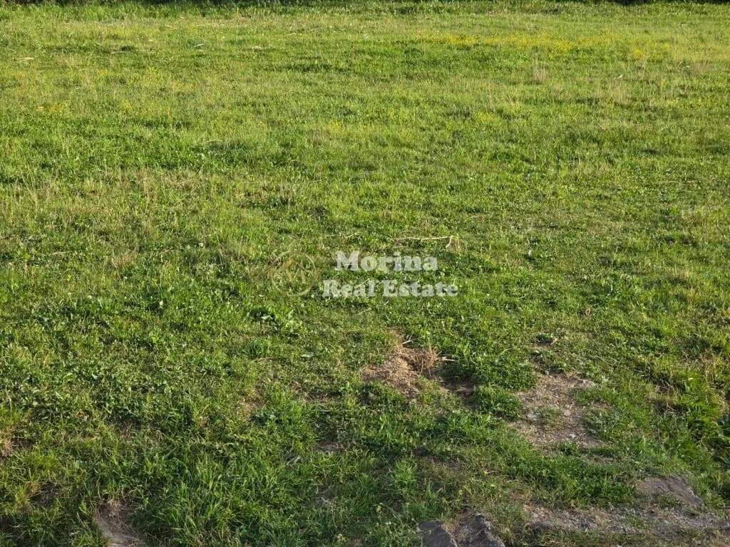Shitje | Tokë / Truall | Afer te Liqeni Linzës | 200000 €