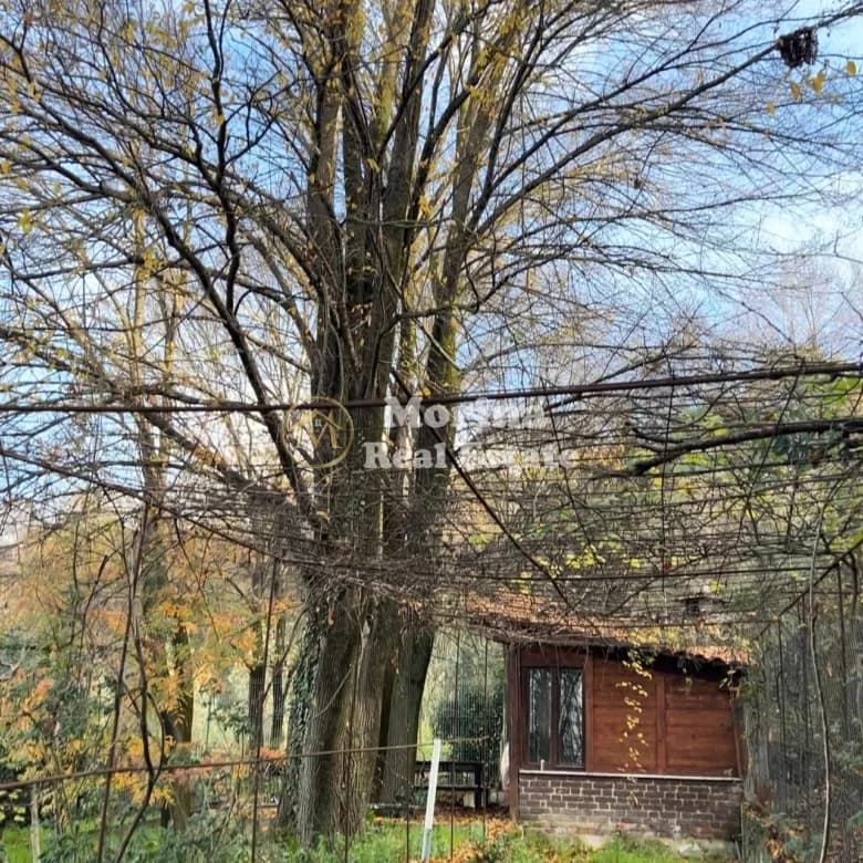 Shitje | Tokë / Truall | Kashar | 260000 € 3