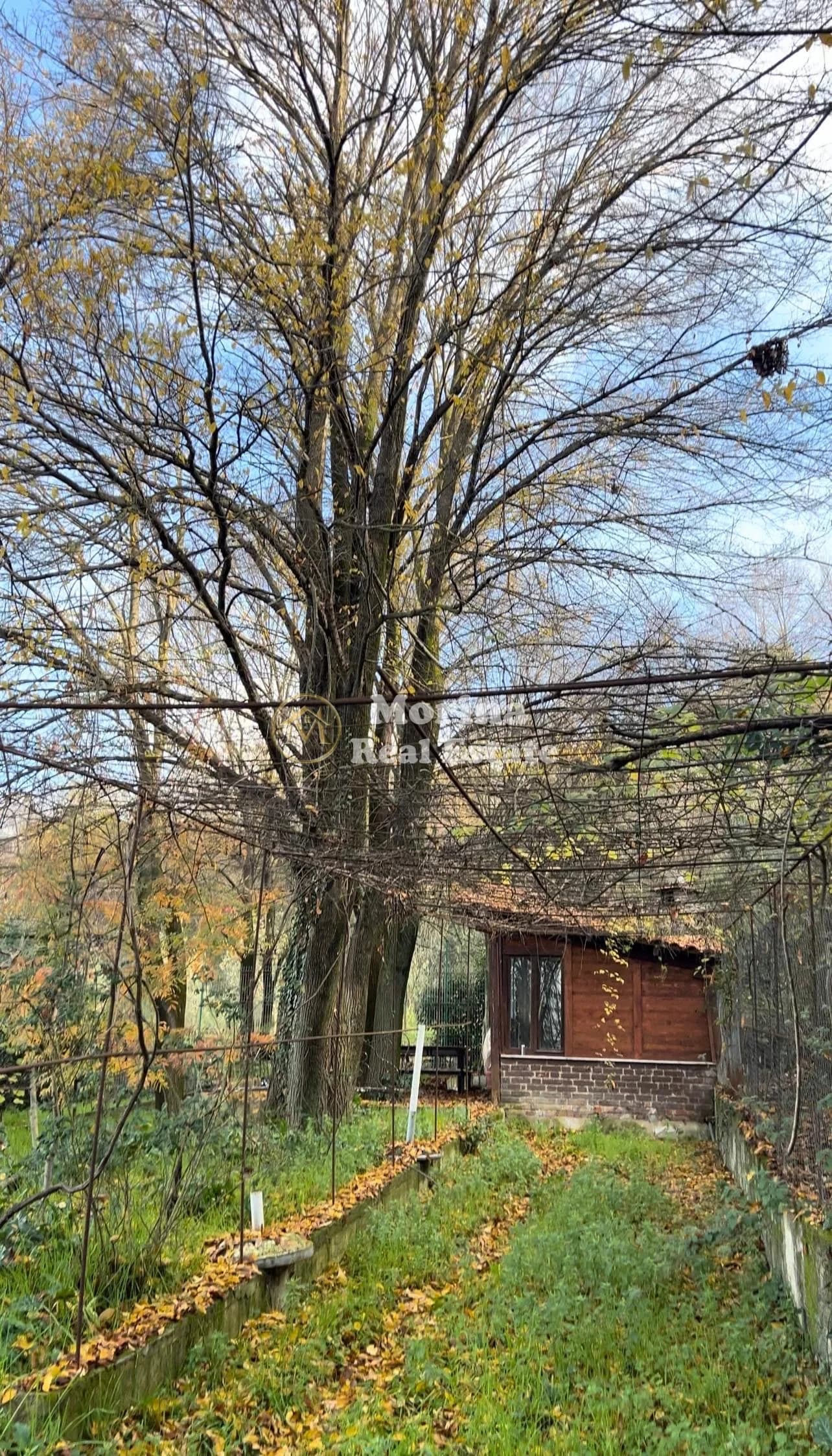 Shitje | Tokë / Truall | Kashar | 260000 € 4