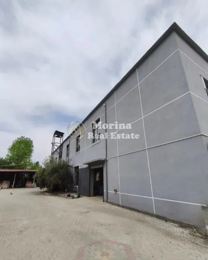Qera | Magazinë | Rruga Sabaudin Gabrani | 2000 €/muaj 3