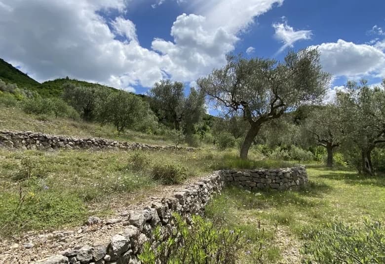 Shitje | Tokë / Truall | Petrelë | 300000 €