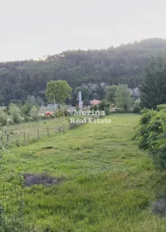 Shitje | Tokë / Truall | Ibe | 225000 € 3