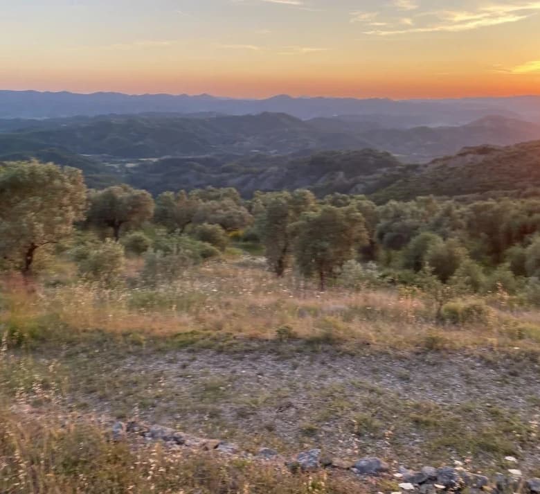 Shitje | Tokë / Truall | Petrelë | 300000 €