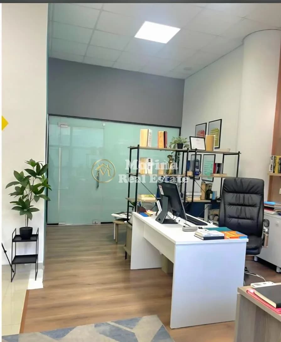 Shitje | Ambjent Biznesi | Sheshi Willson | 210000 € 1