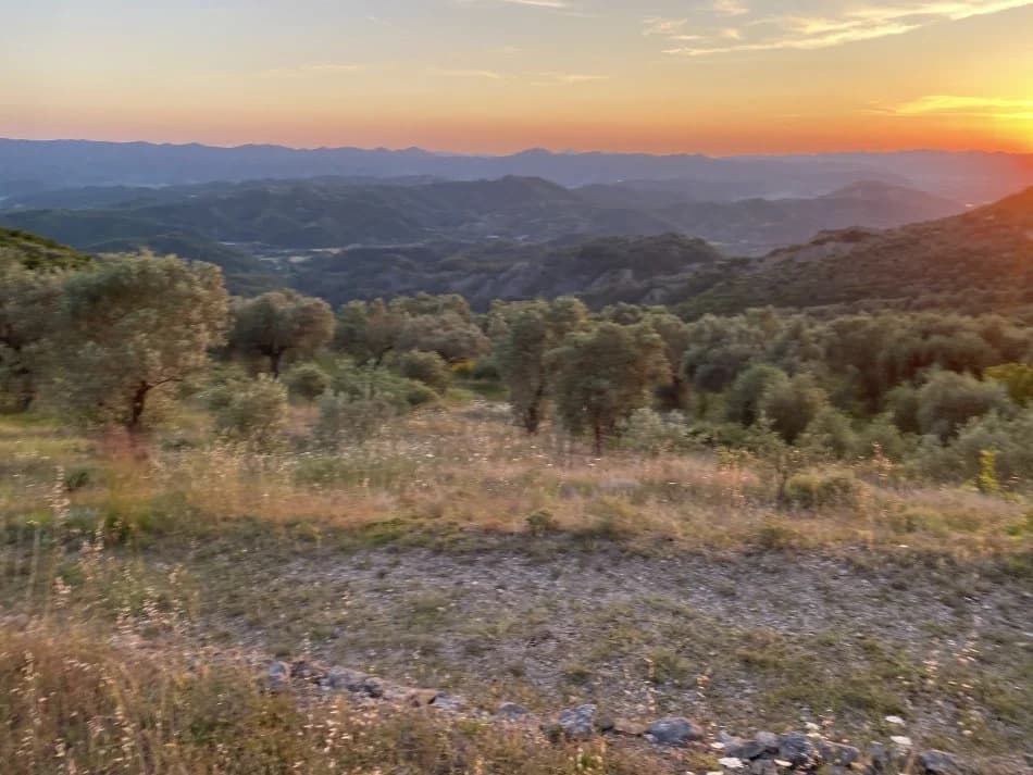 Shitje | Tokë / Truall | Petrelë | 300000 €