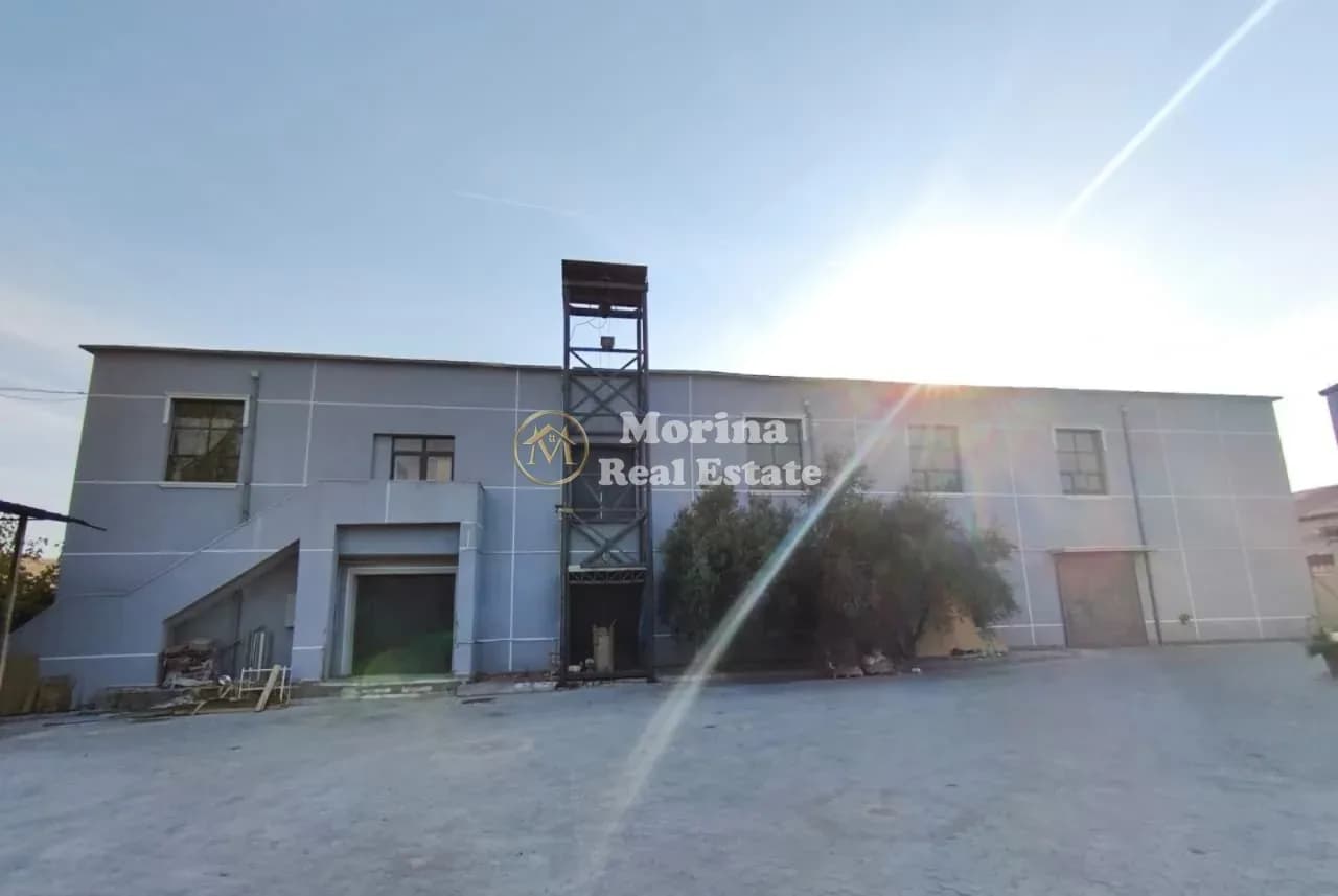 Qera | Magazinë | Rruga Sabaudin Gabrani | 2000 €/muaj 4