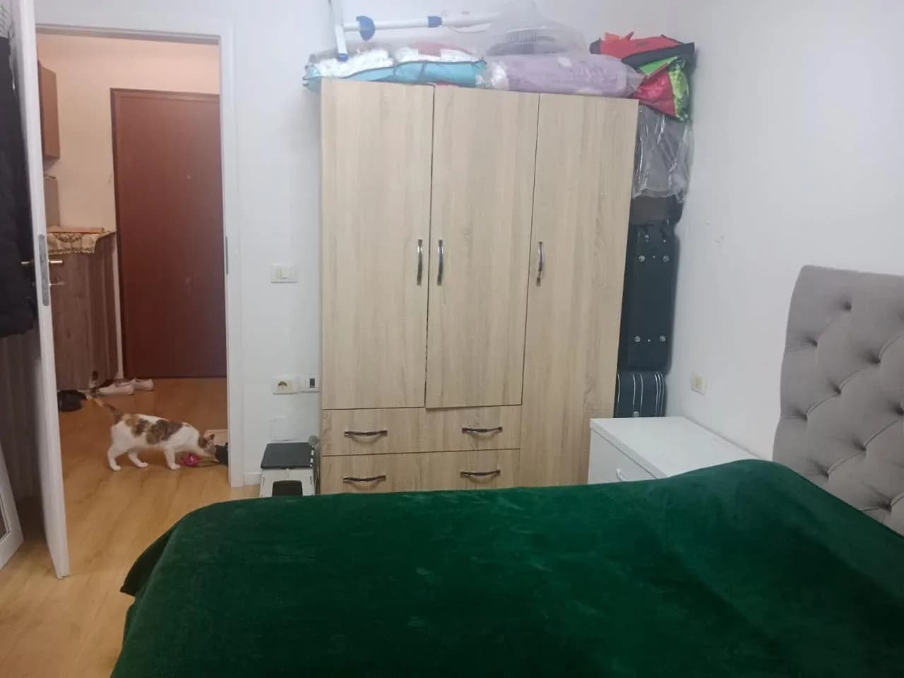 Apartment 1+1 3