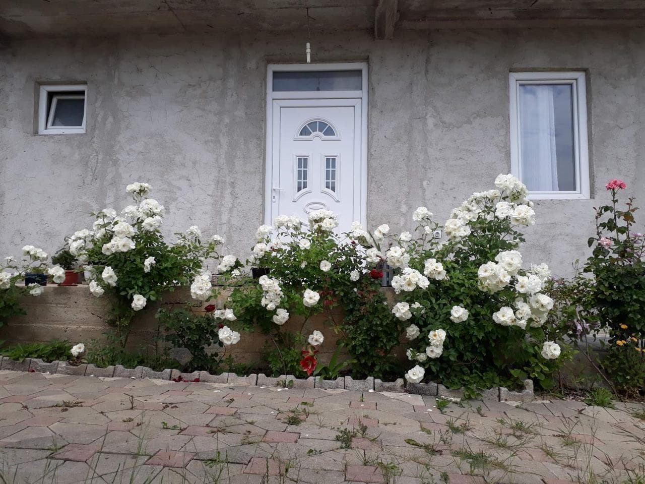Shtepi me qera ne lagjen e Spitalit 2