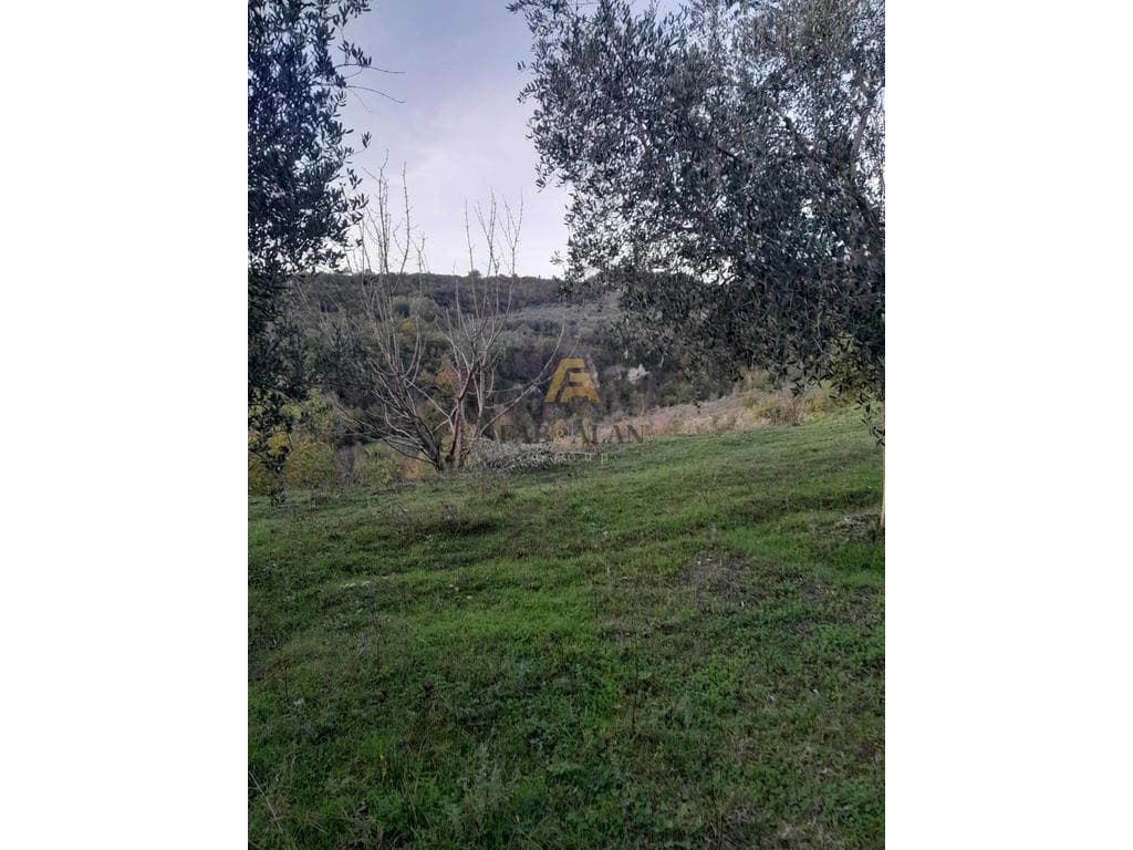 NE GURRE TE MADHE 3000 M2 TOKE PER SHITJE! 2