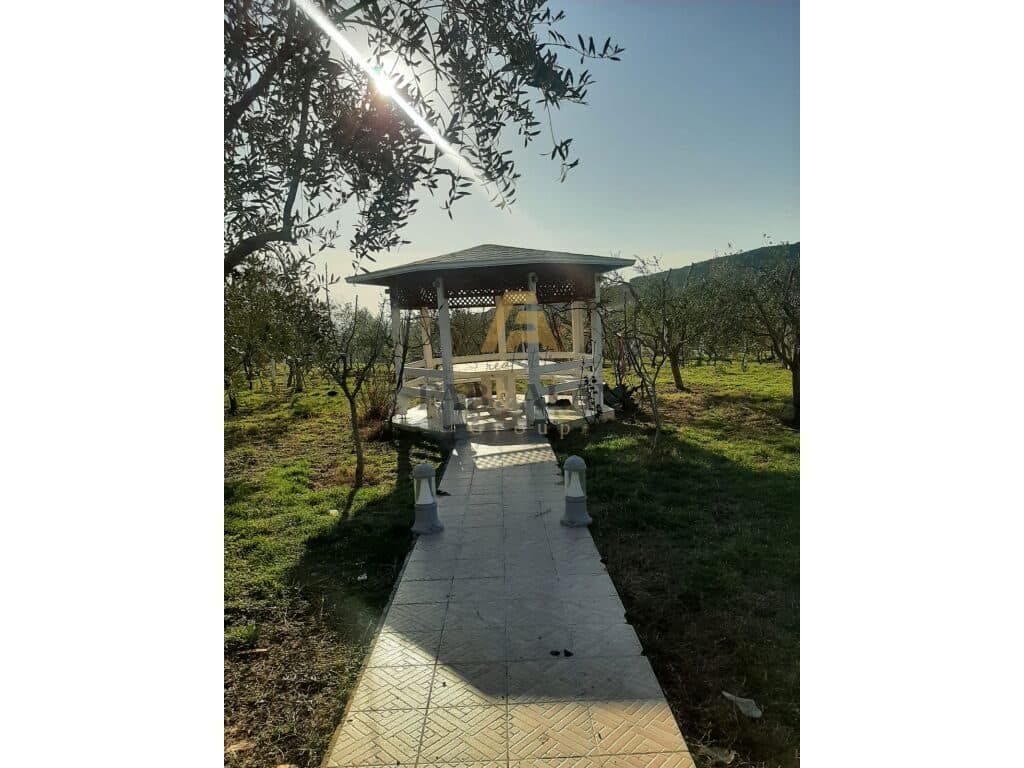 FERME + SHTEPI PRIVATE DRURI PER SHITJE NE GURRE TE MADHE! 2