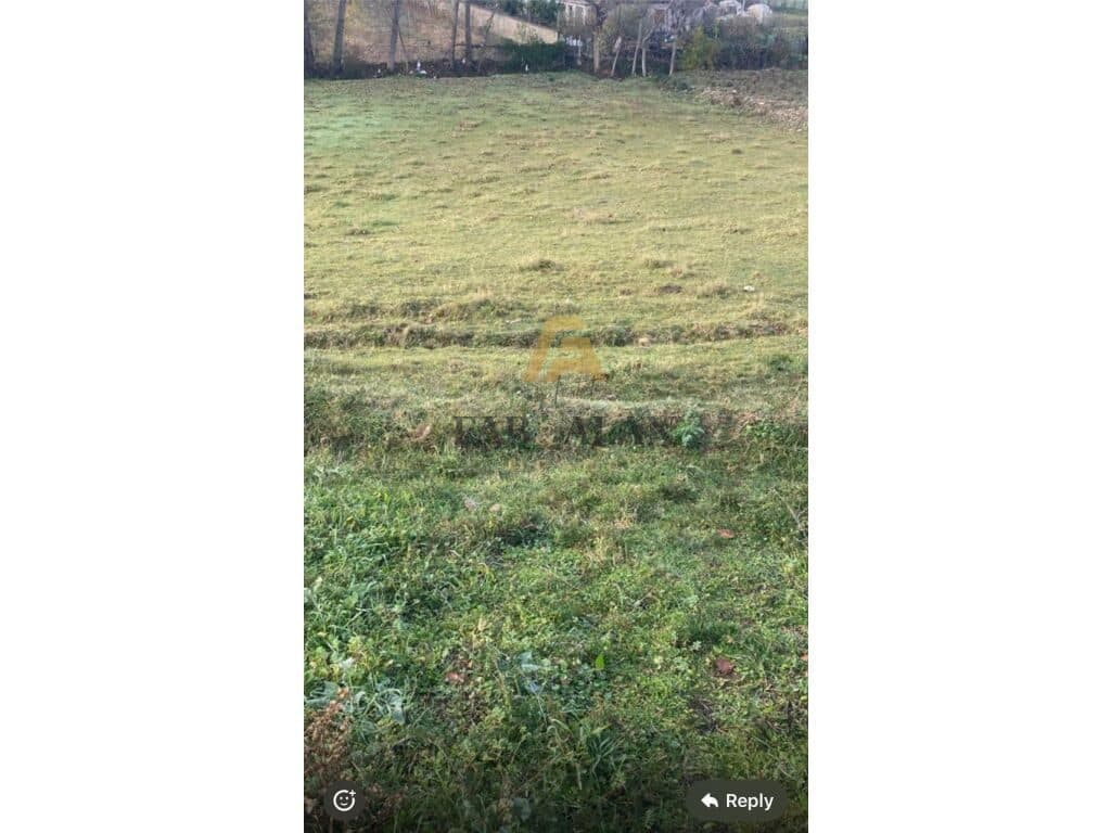 TOKE PER SHITJE NE CERKEZE! 1
