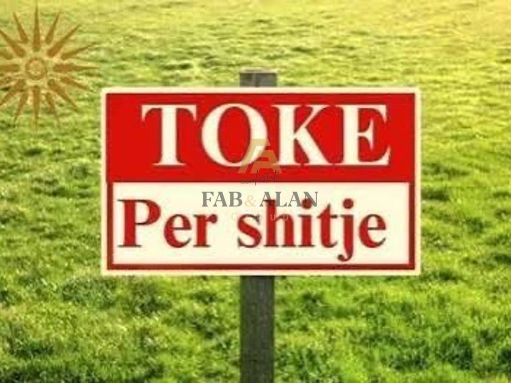 SHITET TOKE NE AUTOSTRADEN DURRES TIRANE!