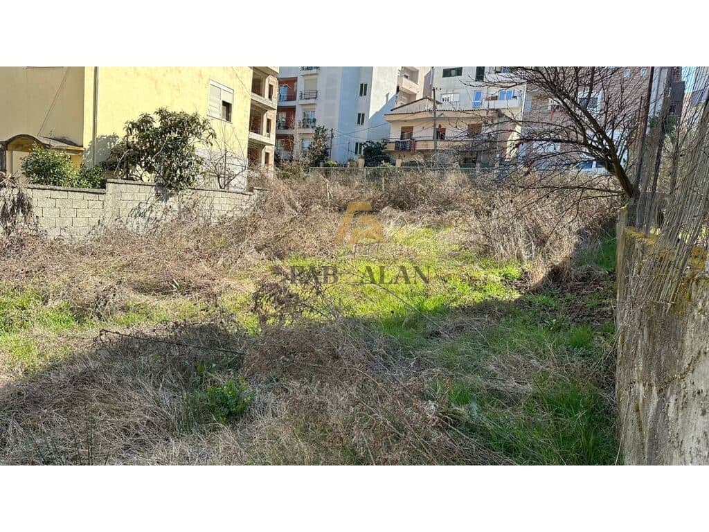PRANE PORCELANIT TOKE PER SHITJE! 1