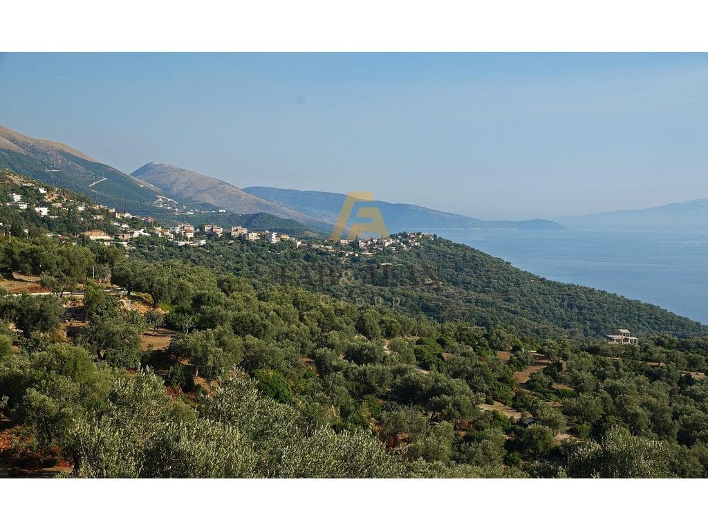 TOKE 17.000 M2 PER SHITJE NE PIQERAS!