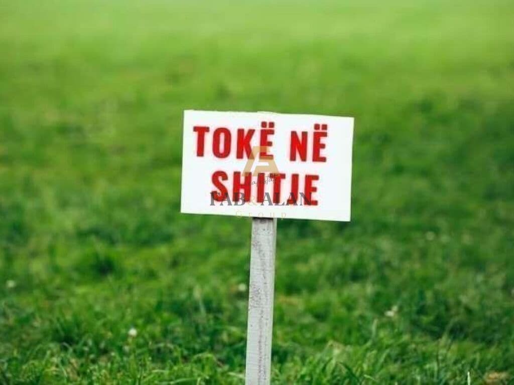 NE FUSHE PREZE TOKE PER SHITJE!