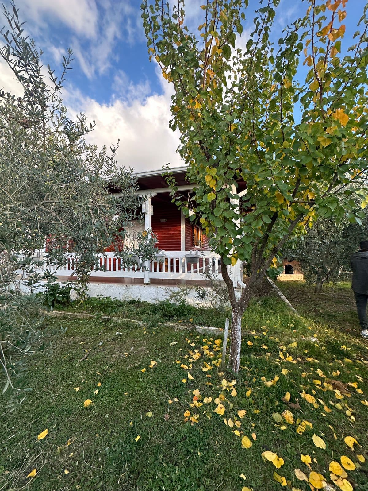 FERME + SHTEPI PRIVATE DRURI PER SHITJE NE GURRE TE MADHE!