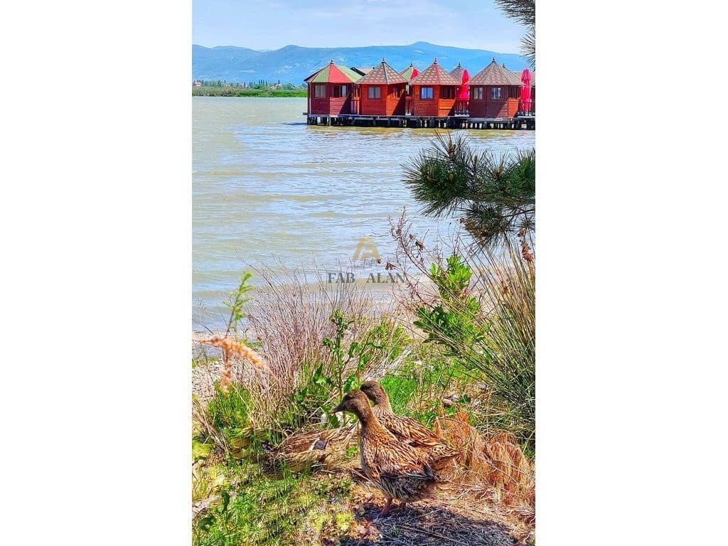 TEK LAGUNA E PATOKUT 16.900 M2 TOKE PER SHITJE!