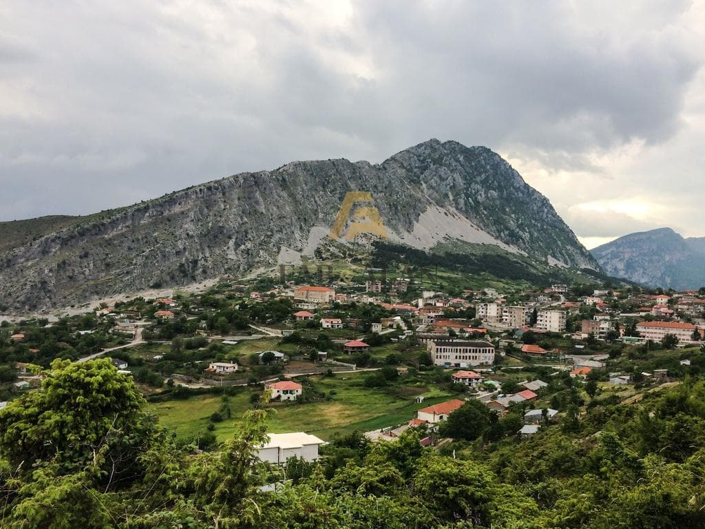 NE KOLONJE 500 HA TOKE PER SHITJE!