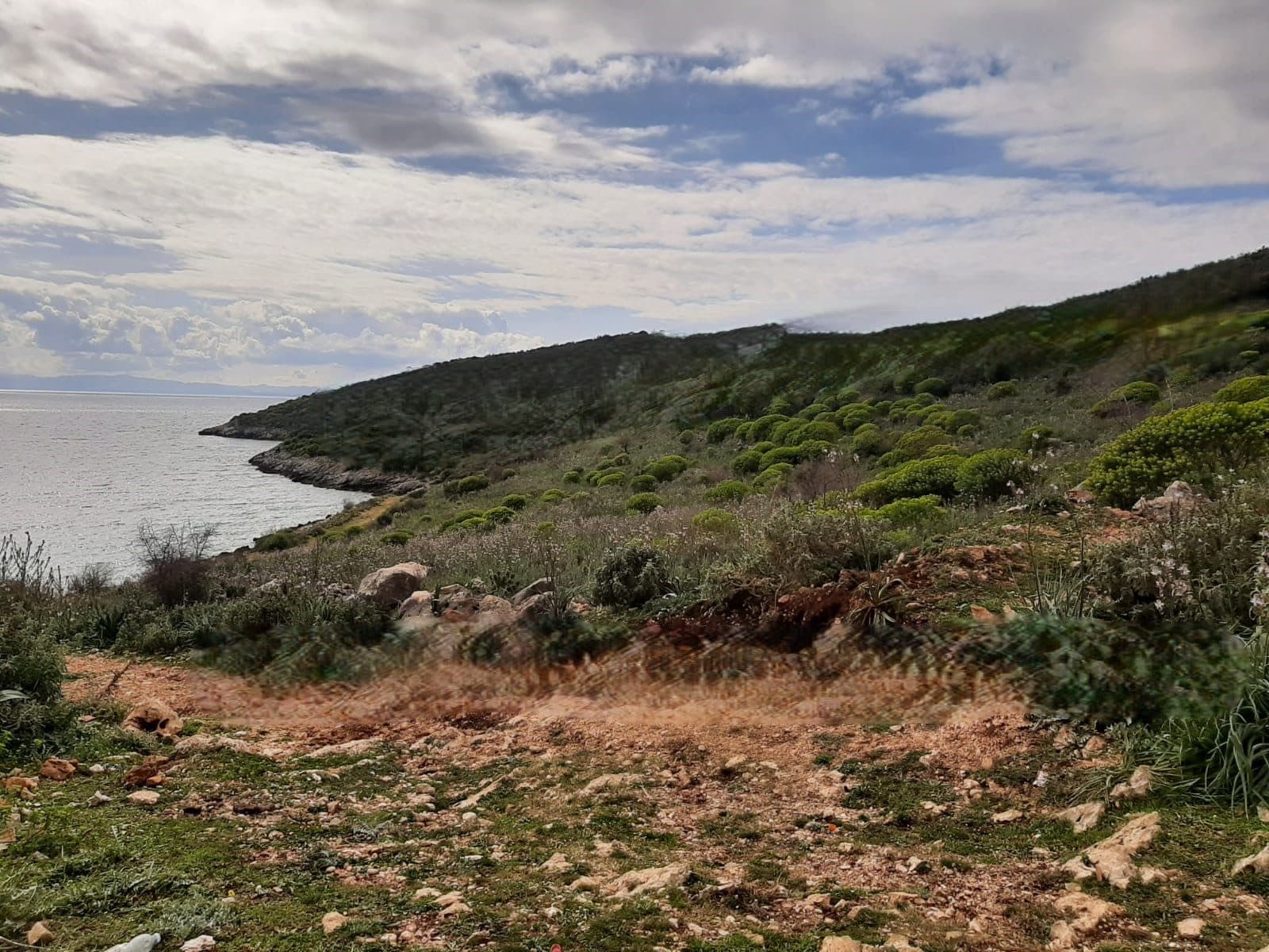 NE QEPARO, HIMARE TOKE 10.500 M2 PER SHITJE SHUME PRANE DETIT!