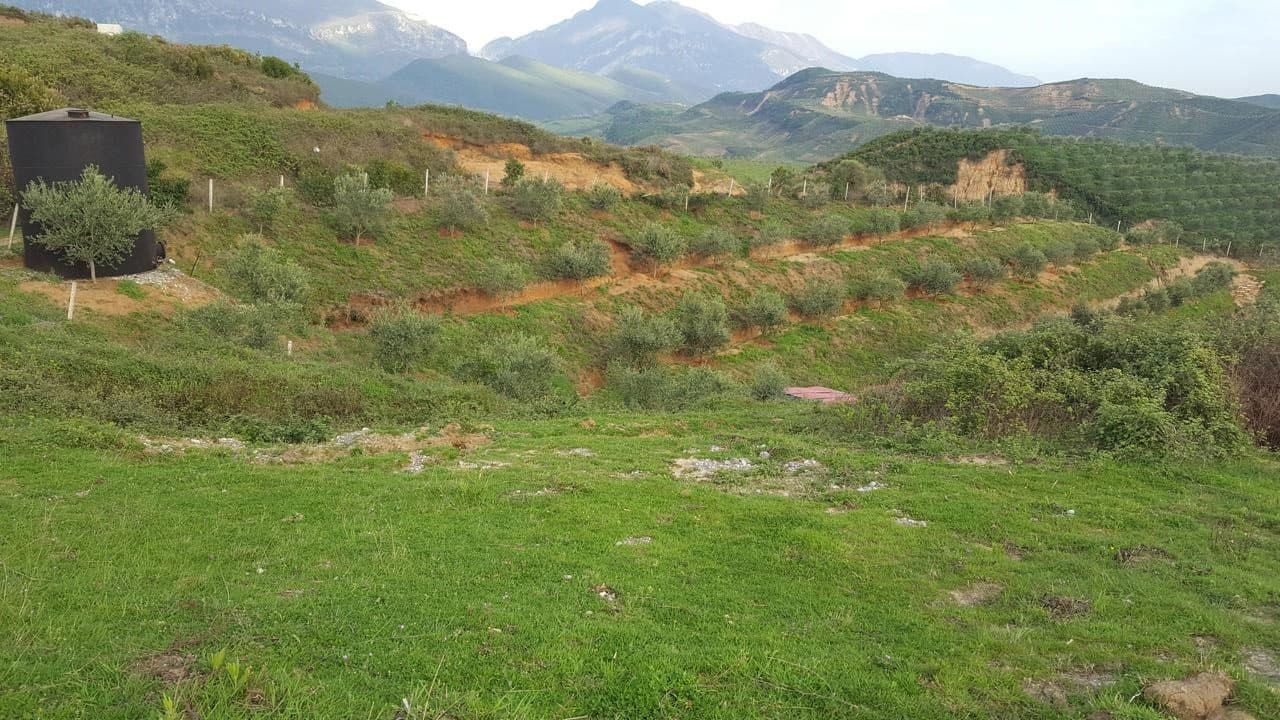 TEK LIQENI I CERKEZES TOKE PER SHITJE! 2