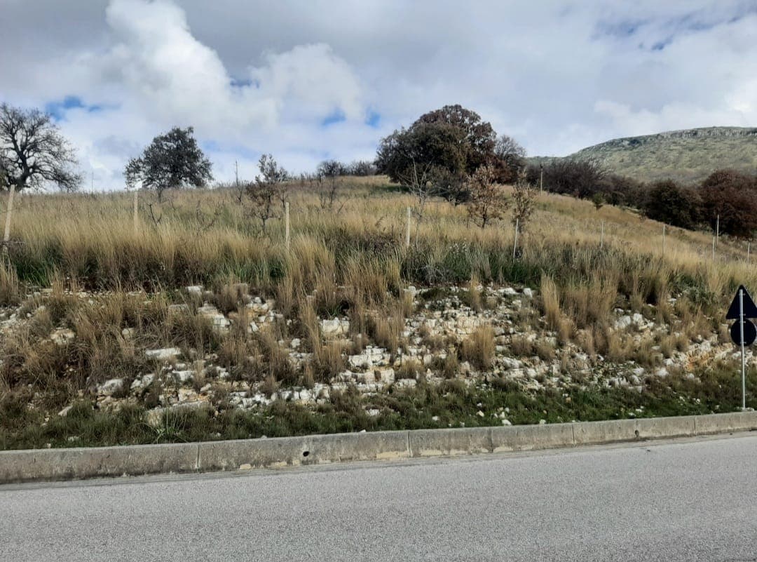 NE QEPARO, HIMARE TOKE 11.500 M2 PER SHITJE!