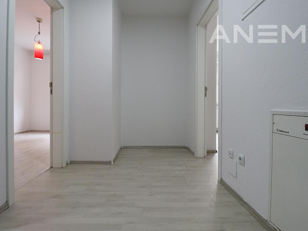Zyre me qira me 2 hapësira pune në Vellushë 4