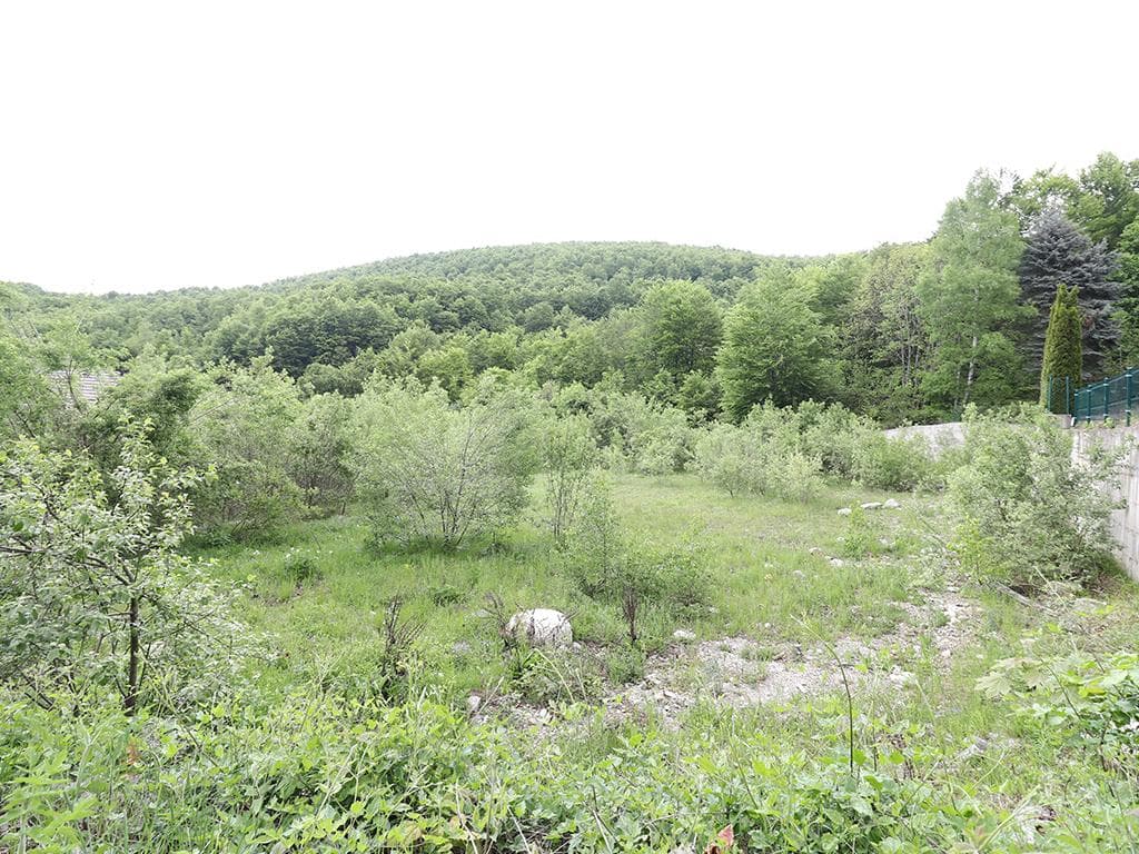 Tokë në shitje 31.7 ari në Brezovicë 4