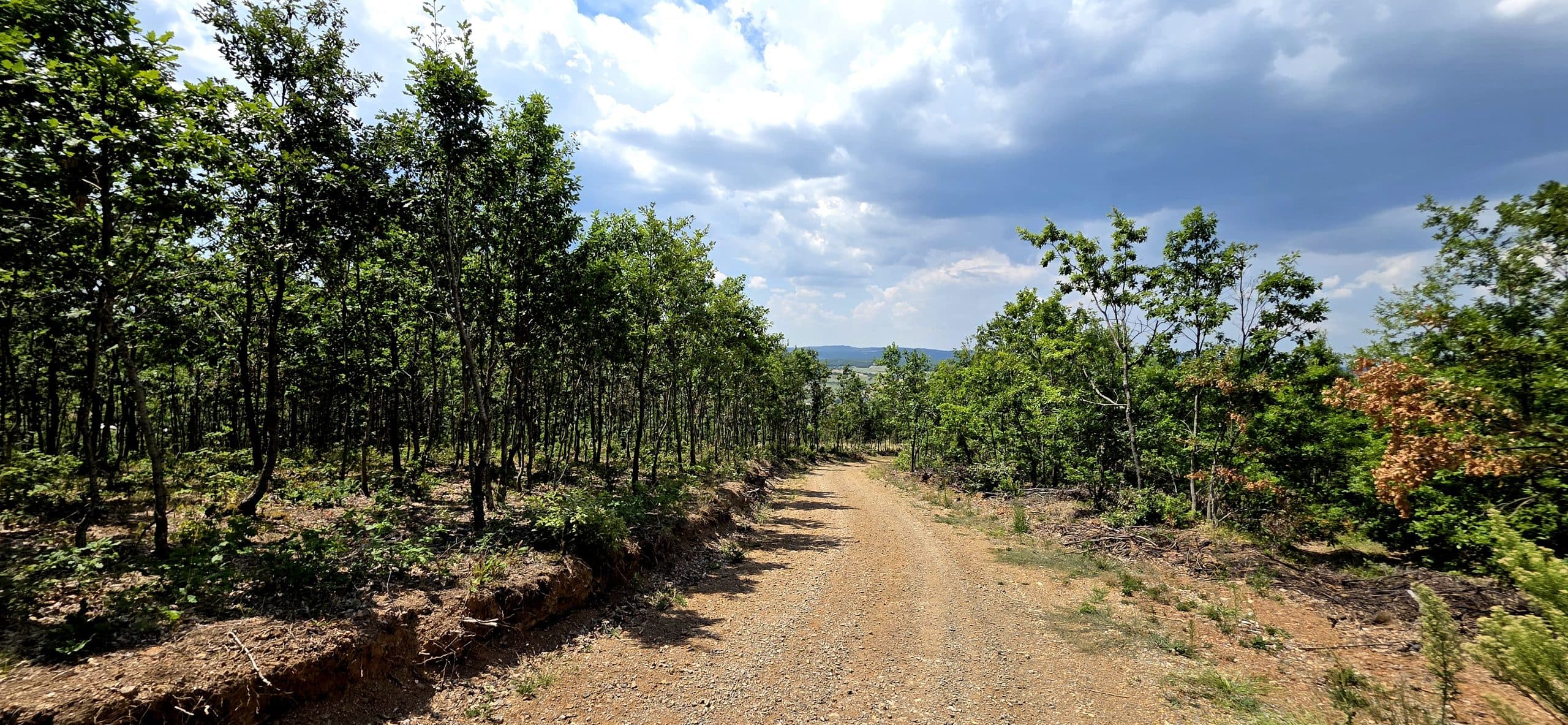 Parcel 7 ari në Manishinc të Novobërdës 3