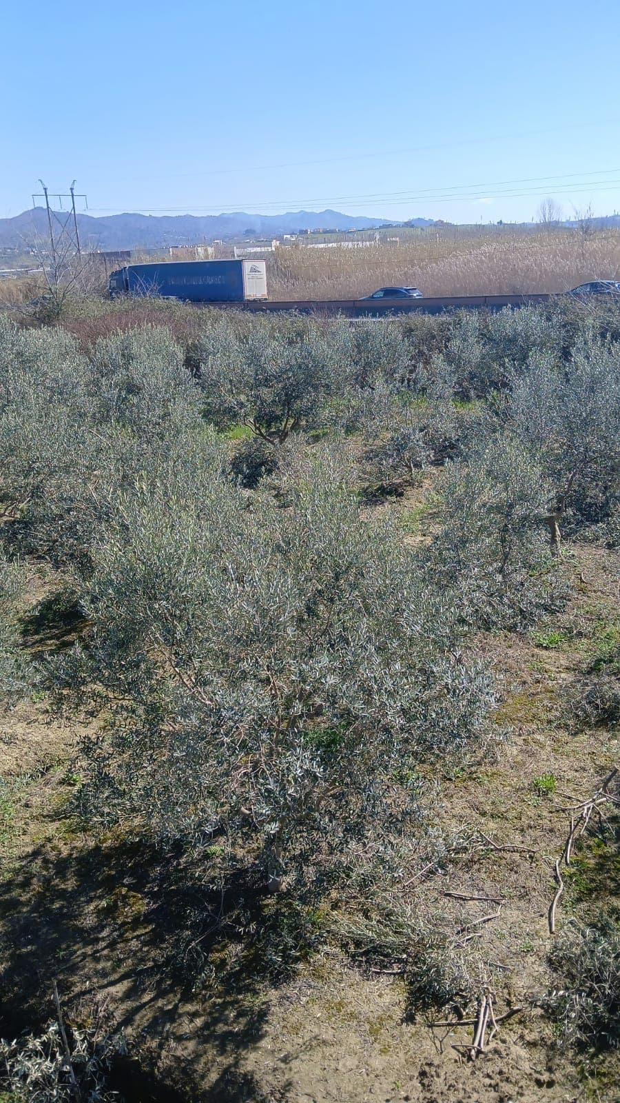 Shitet Tokë | Maminas, Tiranë-Durrës (Buzë Autostradës) 4
