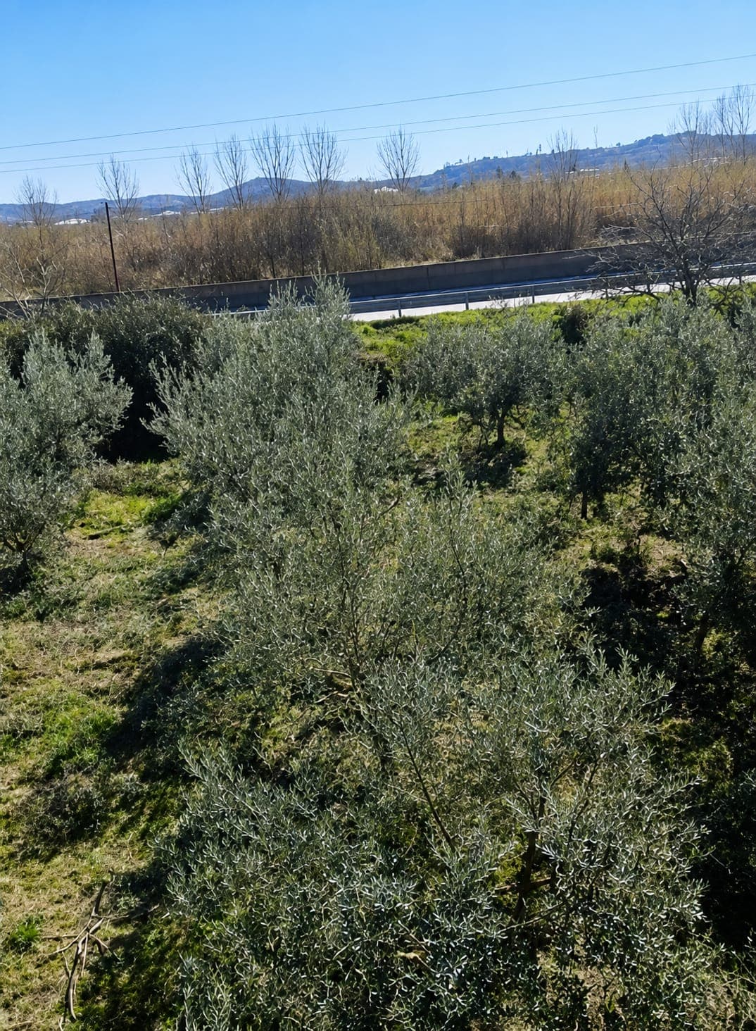 Shitet Tokë | Maminas, Tiranë-Durrës (Buzë Autostradës) 2