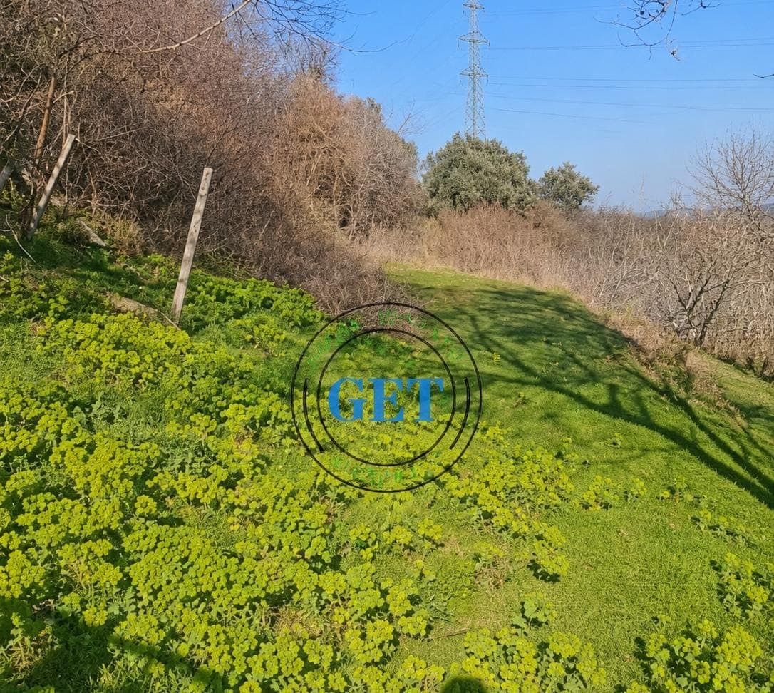 Shitet Tokë | Kodra e Kuajve, Durrës 1