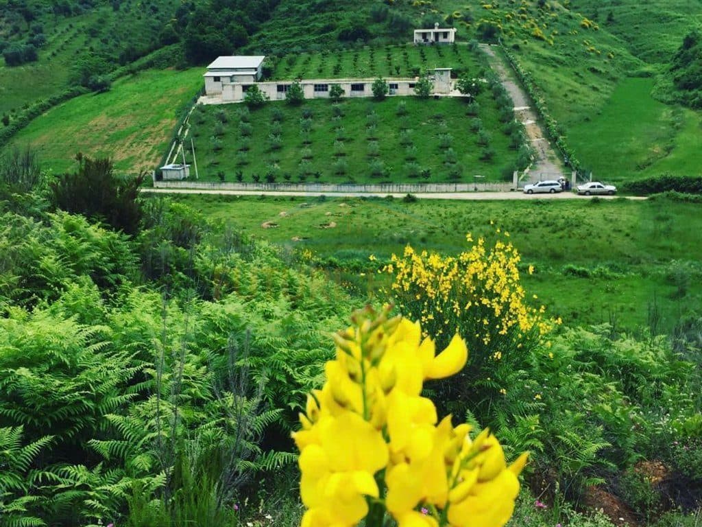 Shitet Tokë + Objekte e përshtatshme për agroturizëm
