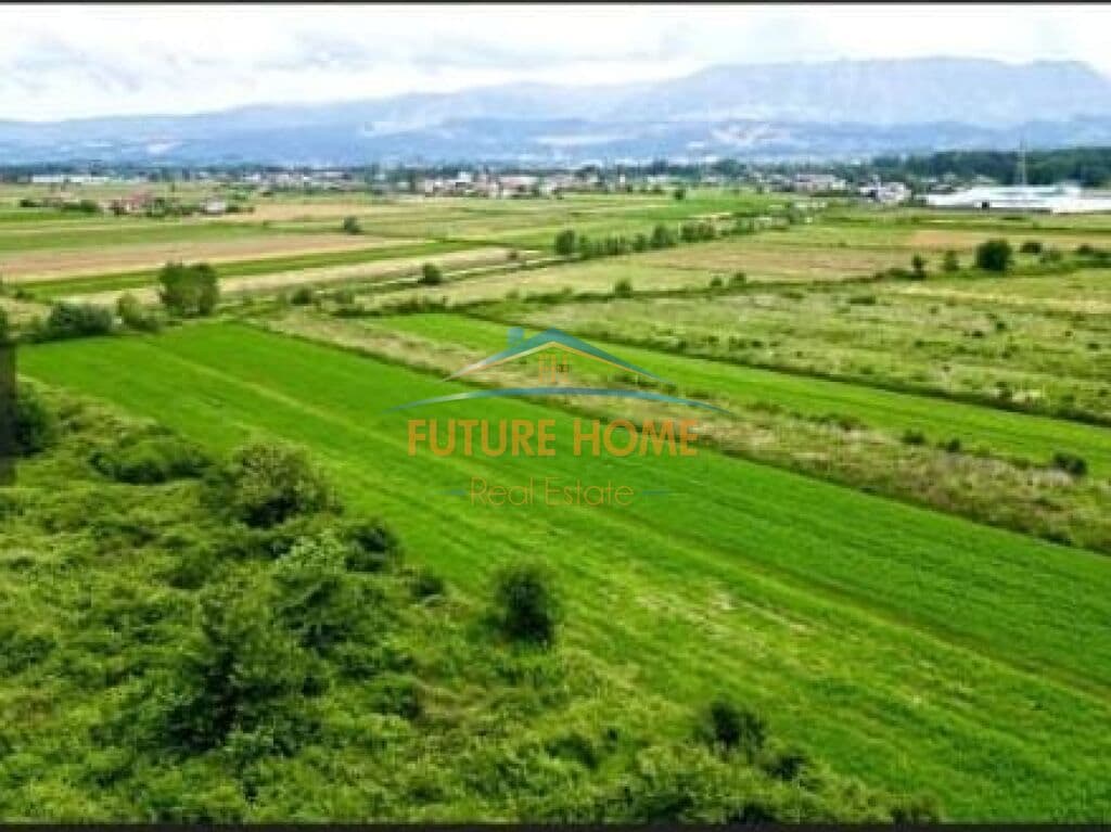 Shitet,Toke,Prane Rinasit 2