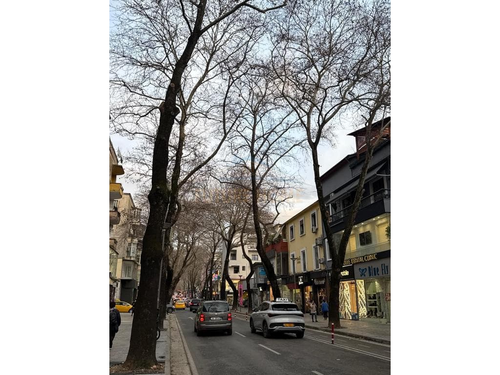 Shitet, Godine Biznesi Myslym Shyri, Tirane