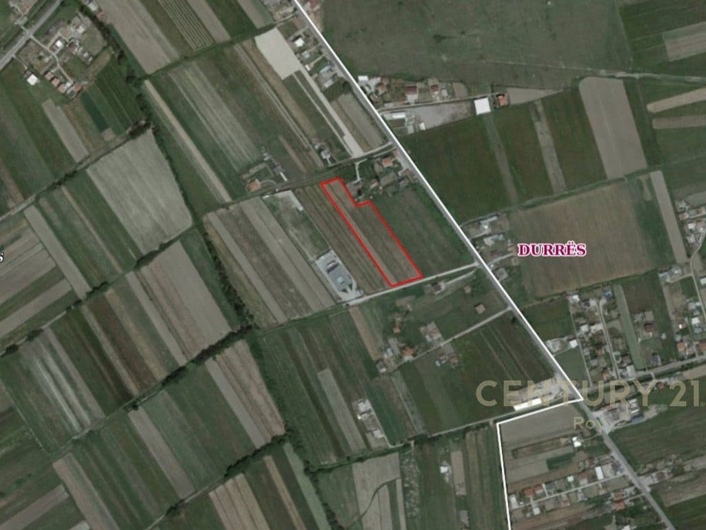 TOKE ARE PER SHITJE NE ZONEN FLLAKE SHUME PRANE AUTOSTRADES !!! 1