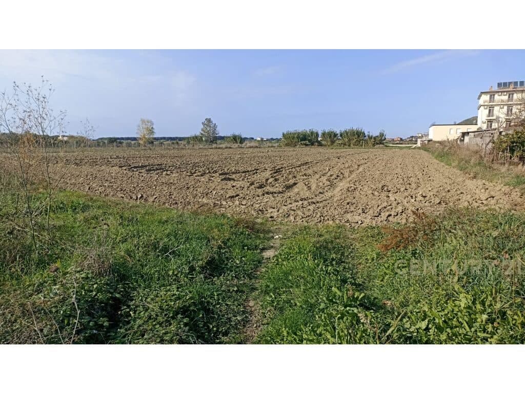 Toke per shitje ne Spille 4500 m² 3