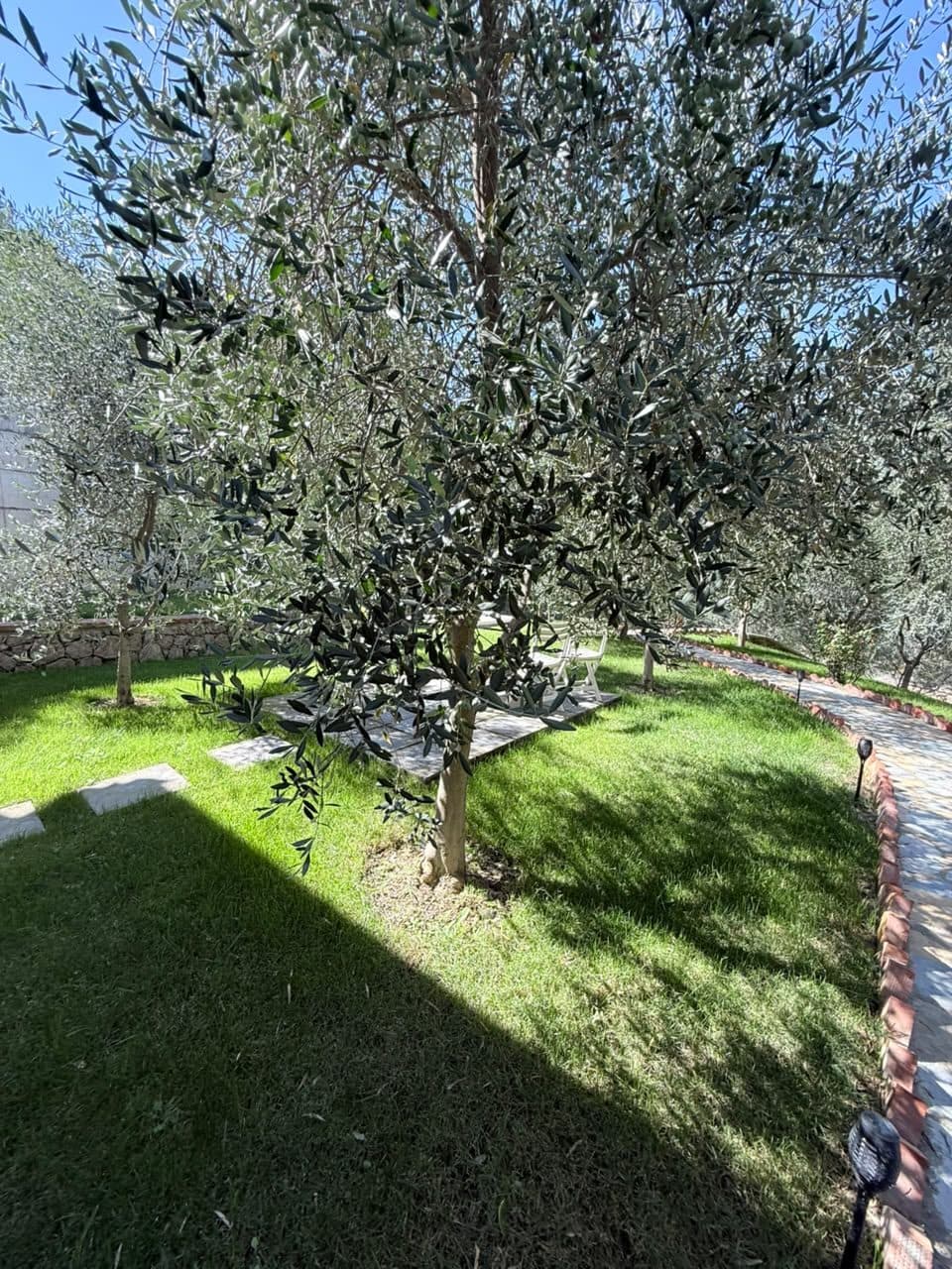 Vila me qira Rrogozhine, Rrogozhinë 2