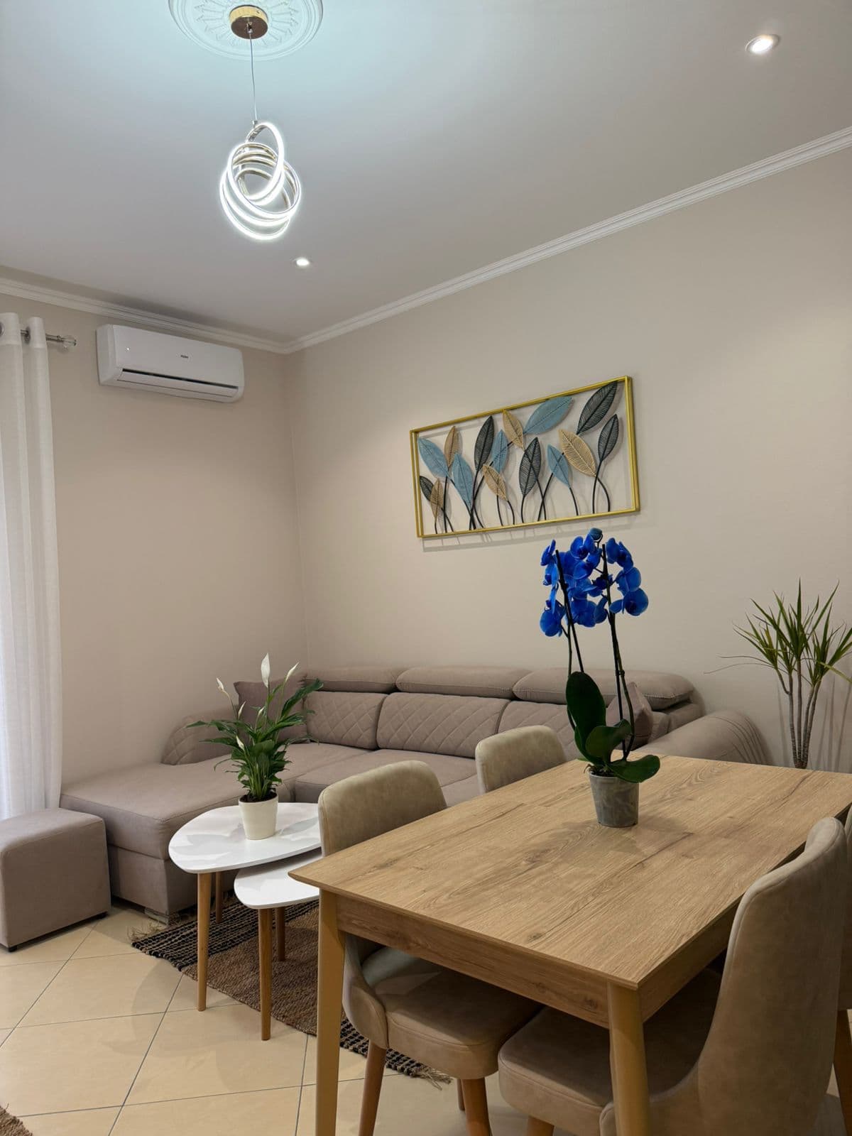 Apartament 1+1 me qira Delijorgji, Tiranë 4