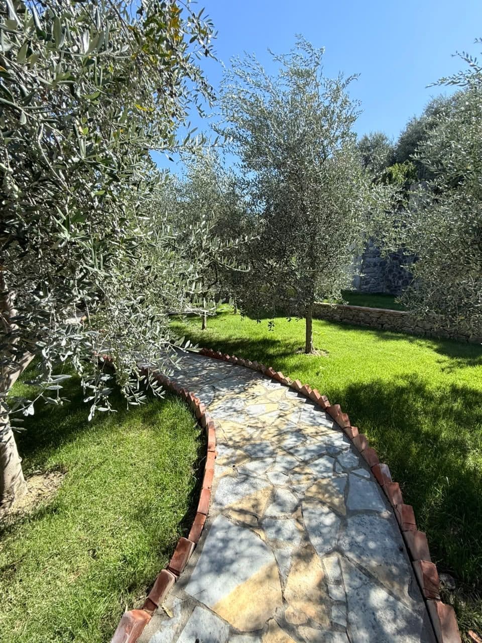 Vila me qira Rrogozhine, Rrogozhinë 3